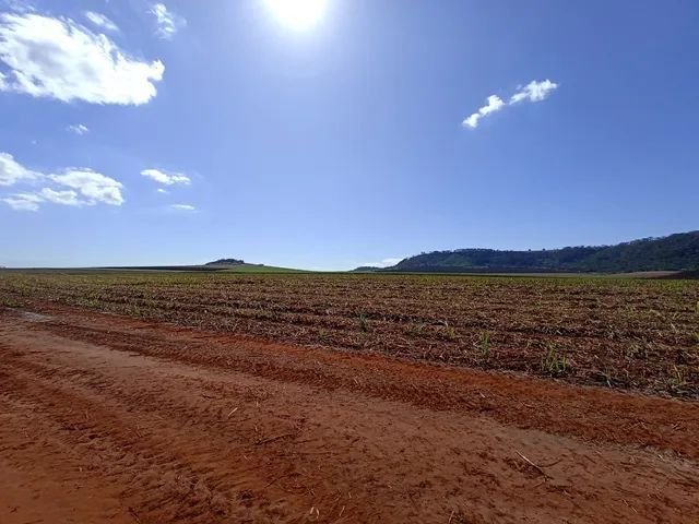Fazenda - Venda - Zona Rural - Serra Azul - SP